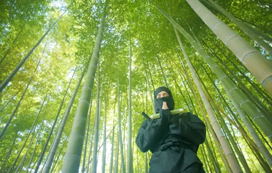 忍者体験イメージ画像